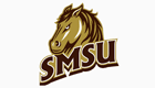 south-minesotat-state-u-logo